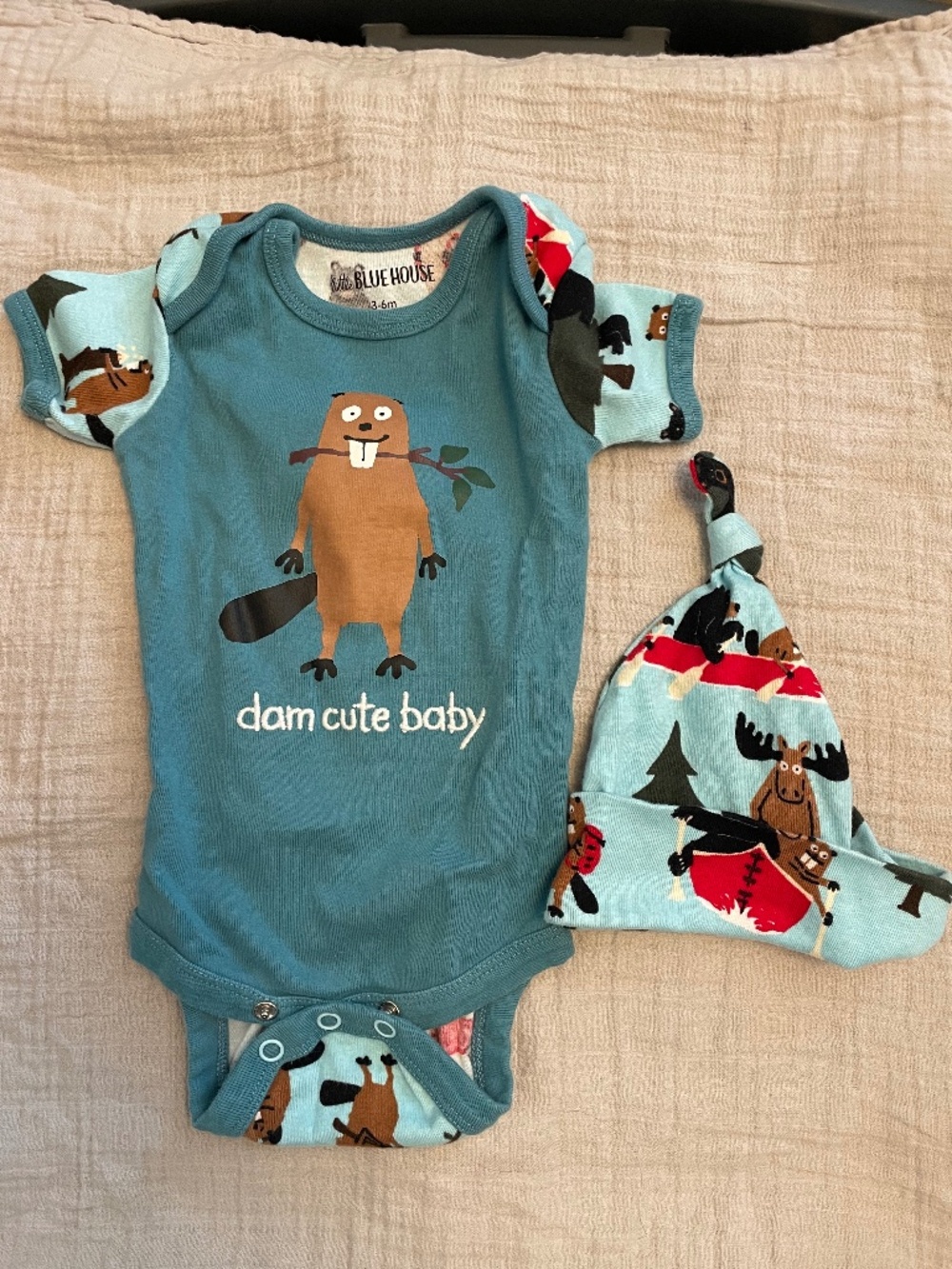 Little Blue House 3-6mo